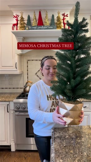 Your Christmas brunch just got an upgrade!🥂🎄✨ Save this video for the holiday season and don’t forget to follow me for more festive hosting ideas! #festive #partyinspo #hosting #holidayseason #christmas #holidayinspo #diy #host #hosting | Kerra Lynn Looks