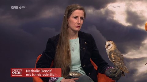 Landesschau Baden-Württemberg: Nathalie Denolf ist Falknerin auf Burg Guttenberg