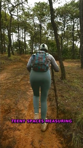 Ecosystems Thrive In Teeny Spaces | Tiny Ecosystems Secrets