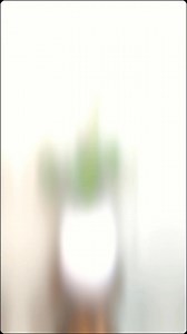 13K views · 45 reactions | Lifelike greenery to elevate any space! #AhmadTreeHouse #artificialplants #homedecor | Ahmad Tree House | Facebook