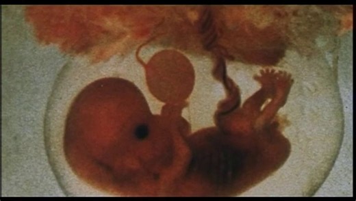 "EMBRYO" de Ralph Nelson (1976) avec Rock Hudon et Barbara Carrera