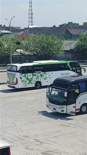 Akas Green #bus #busmania #busmaniacomunity #bussid #bussimulatorindonesia #bussimulator #akasgreen