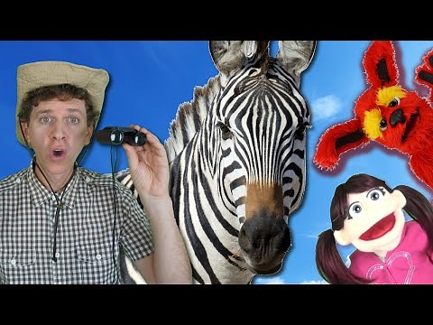 First Words #2 ZEBRA | Children's Songs | Learn English Kids