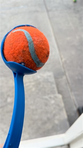 Watch This is so fun! Watch this review to see why! on Amazon Live