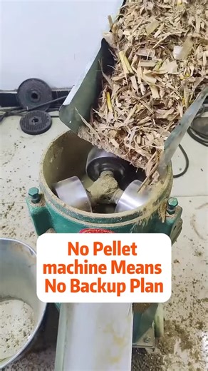 Sharry_poultryfarmchickencage on Instagram: "Pellet Machine Troubleshooting In Ethiopia | 6 Quick Fixes 🔧 Check For Blockages ~Inspect hoppers, rollers, and augers for feed jams. ~Clearing blockages promptly restores up to 95 percent production efficiency. ⚡ Inspect Electrical Components ~Check wiring, fuses, and switches weekly. ~Faulty components can cause 20 percent downtime. 🛢️ Lubricate Moving Parts ~Apply oil to gears and bearings weekly. ~Proper lubrication reduces friction and prevents