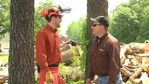 114K views · 92 reactions | Need tips on how to safely operate your chainsaw? We’ve got you covered. | STIHL | Facebook