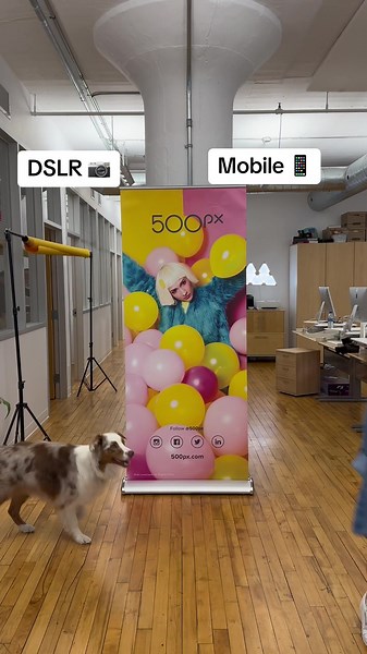 We asked our 500px team the ultimate this or that question… DSLR or Mobile photography… and the results are in 👀#photography #thisorthat #dslr #mobilephotography