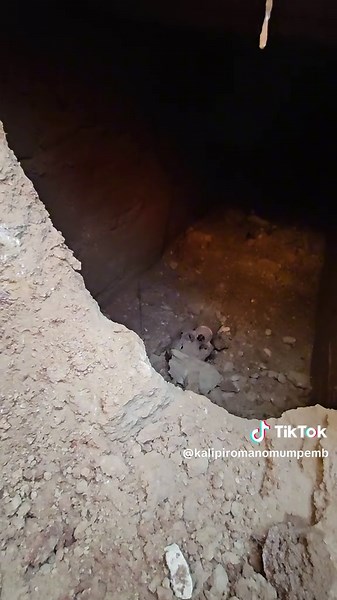 Exploring the Honda CBR250RR: Performance and Features