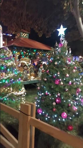 A Merry Evening at Christmas in the Park | San Jose🎄✨