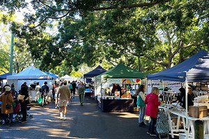 Northey Street Organic Farmers Market Sunday | Must Do Brisbane