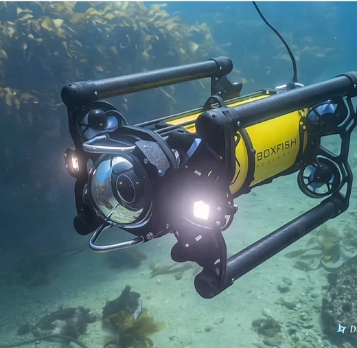 REAL SCENE 5.0 THE REMOTELY OPERATED VEHICLE BOXFISH ROV’S INNOVATIVE LIGHTWEIGHT DESIGN OFFERS EASY DEPLOYMENT AND OPERATION WITH A CREW OF JUST TWO, AND FROM VIRTUALLY ANY SMALL BOAT WITHOUT THE NEED FOR FURTHER EQUIPMENT At just 24kg, it is easy to launch and recover by hand and operates down to 500m with an option to go to 1000m and beyond. Its uncompressed 4K main camera is complemented by two additional built-in ultra-wide-angle navigation cameras, offering unprecedented surround visibilit