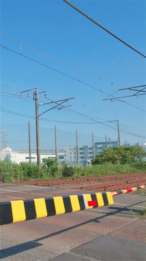【踏切】カンカン音と電車通過｜JR 信越本線｜特急しらゆき｜ASMR｜Railroad Crossing