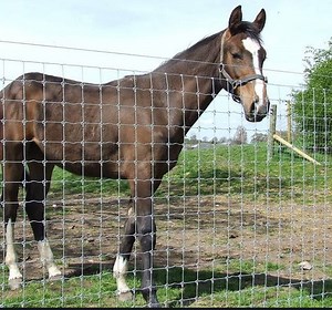 [Hot Item] Galvanized Fence Sports Field Galvanized Field Fence