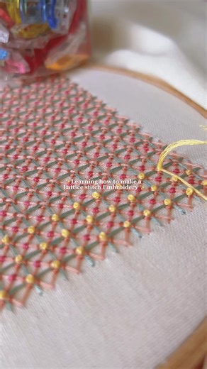 Adding this to my Embroidery technique list✨ #embroidery #latticestitch #diy
