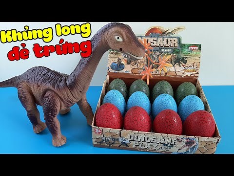 Đồ Chơi Trứng Khủng Long Nở Con Và Khủng Long Cổ Dài Đẻ Trứng