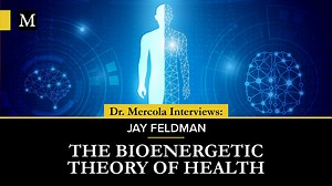 The Bioenergetic Theory of Health – Interview With Jay Feldman