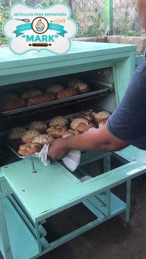 Horno de gaveta 2 charolas