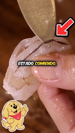 ¡SI te DIGO que HAS estado COMIENDO te vas A TRAUMAR! #comida #fastfood #shorts