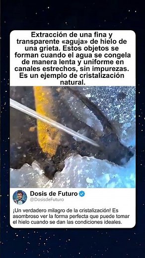 AGUJA DE HIELO