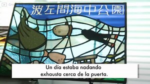 Código amigo booking