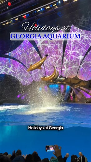 Kseniia | ✨Travel Content Creator✨ on Instagram: "✨ Holidays at Georgia Aquarium is officially here! @georgiaaquarium From now through January 2nd, the atrium is glowing with daily lights, festive décor, special holiday performances, and live music on the weekends—the perfect way to get into the seasonal mood in Atlanta. It’s all included with your general admission 🎄 💳 Aqua Pass 2026 Right now, you can purchase the Aqua Pass for the price of a single-day ticket and enjoy unlimited visits for 