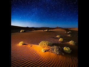 IB Biology - A2.2 Cell structure