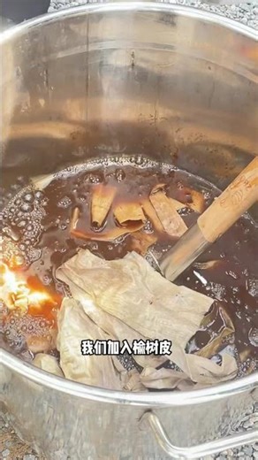 Home Shampoo Making Guide for 2000s Kids