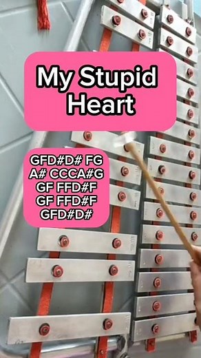 MY STUPID HEART/LYRE XYLOPHONE COVER