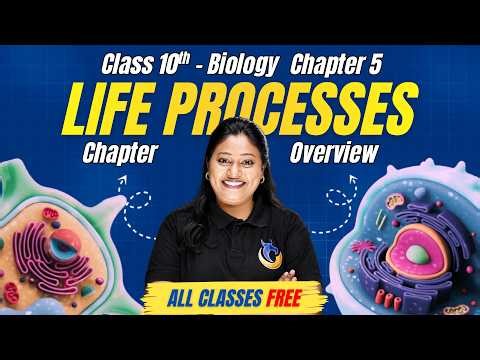 Life Processes - Chapter Overview | Class 10 Biology Chapter 5 | NCERT Book