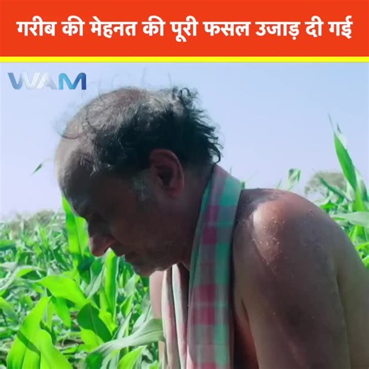 Celebrity Culture: UK, France, and Russia Insights