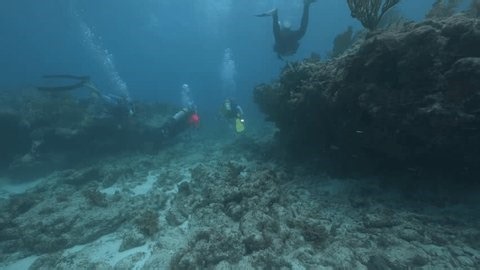 clip-4031362683-key-largo-fl---june-4-2025