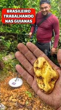 BRAZILIAN FINDS GOLD WORKING IN THE GUIANAS #gold #gold #detector #metaldetecting #metaldetector