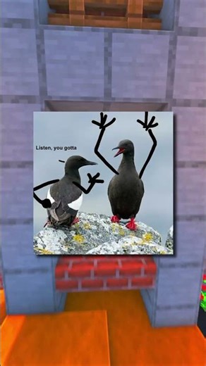 Drawing Arms on Birds be like! 😭😭