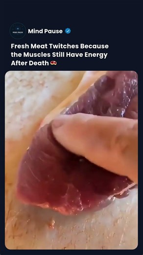 This Happens to Every Piece of Meat You Cook #viral #facts