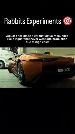 Rabbits Experiments 🎯 on Instagram: "Jaguar once developed a concept car that mimicked the roar of a jaguar using a speaker system in its exhaust. This unique feature gave the car an unmistakable growl, tying its sound to the power and aggression of the animal. Only one prototype was ever made, and the car never reached mass production. The high cost of implementing such specialized technology made it financially unfeasible for Jaguar to produce at scale. Though it never went to market, the con