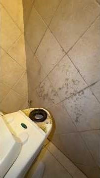 Reinstalling a poorly installed toilet #howto #diy