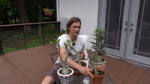 DESERT ROSE ADENIUM - Propagation Tutorial - Complete Instructions Taking Cuttings & Rooting