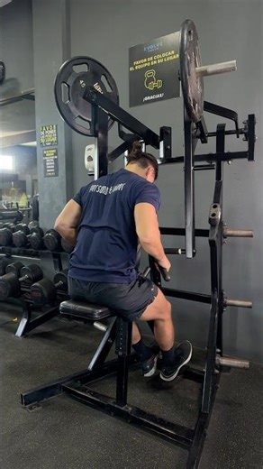 Seated plate loaded Low Row