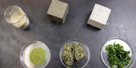 Researchers use seaweed to cut concrete’s carbon footprint