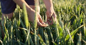 Nachhaltigkeit bei Bayer