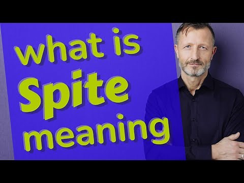 Spite | Meaning of spite