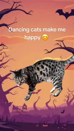 Dancing Cats Make Me Happy — Cute Halloween Cat Dance Video