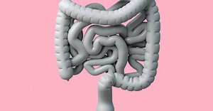 Diverticulite: o que as sementes têm com isso? | Check-up com Sidney Klajner