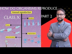 #HOW DO ORGANISM REPRODUCE#BIOLOGY CLASS 10# A SEXUAL REPRODUCTION#repruduction