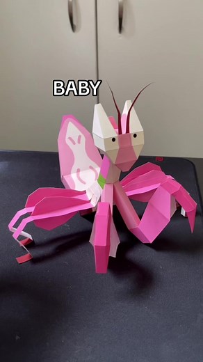 i love you paper orchid mantis