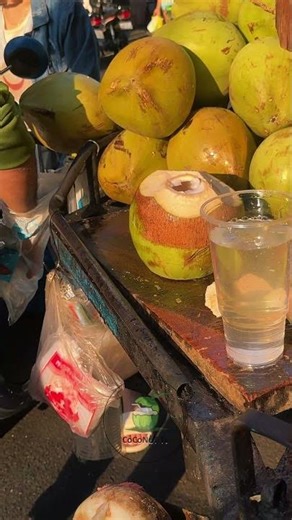 Coconut Cutting Techniques & Tips The Ultimate Guide