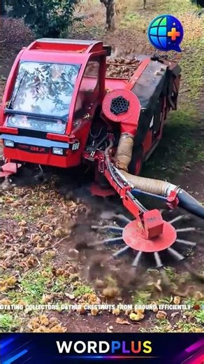 Amazing Chestnut Harvest Machine! Fast Collection Technology in Action 🌰🚜 #ChestnutHarvest