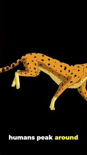 MAN VS CHEETAH! who wins