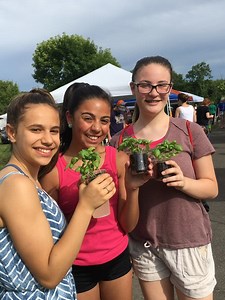 North Reading Farmer's Market Wednesday