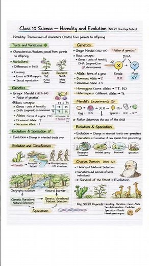 Class 10 Science Heredity and Evolution One Shot 🔥 | NCERT One Page Notes | CBSE 2025-26
